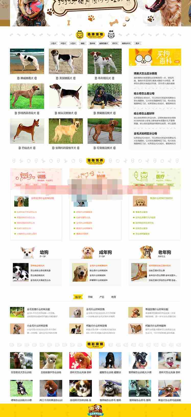 宠物网模板1.jpg/