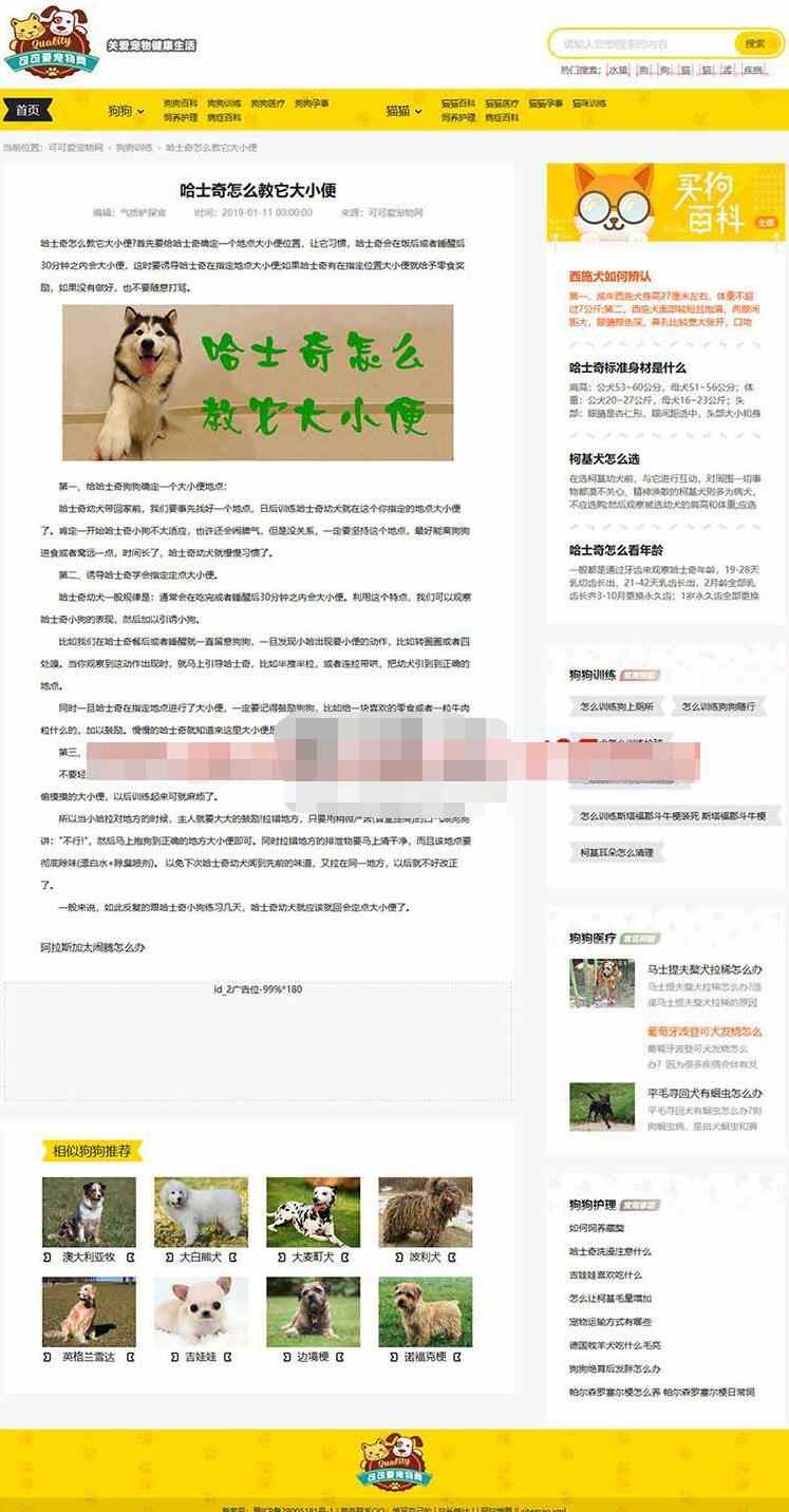 宠物网源码1.jpg/