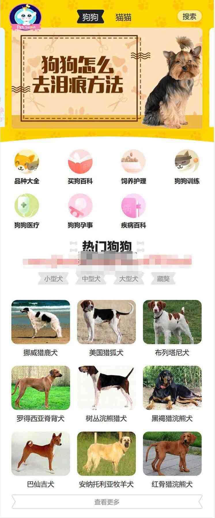 宠物网源码3.jpg/