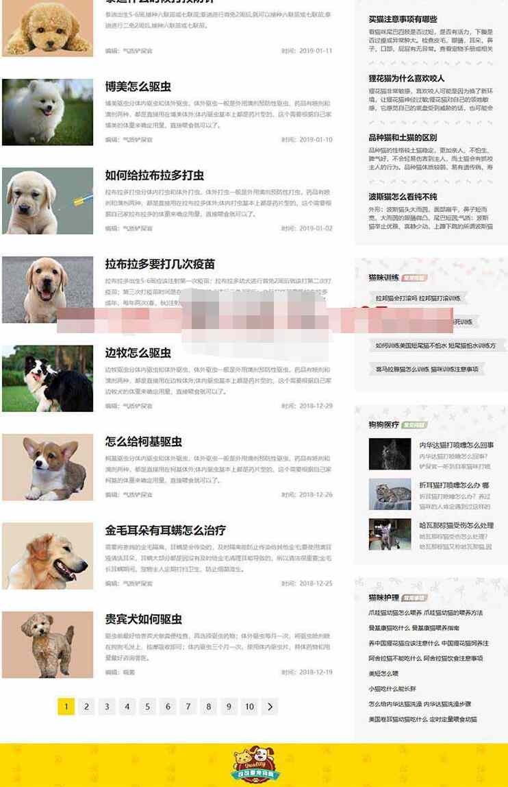 宠物网源码2.jpg/